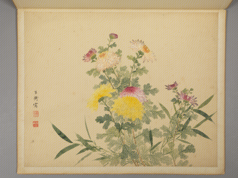 Zhou Quan Flowers, Birds and Insects Album, The Palace Museum