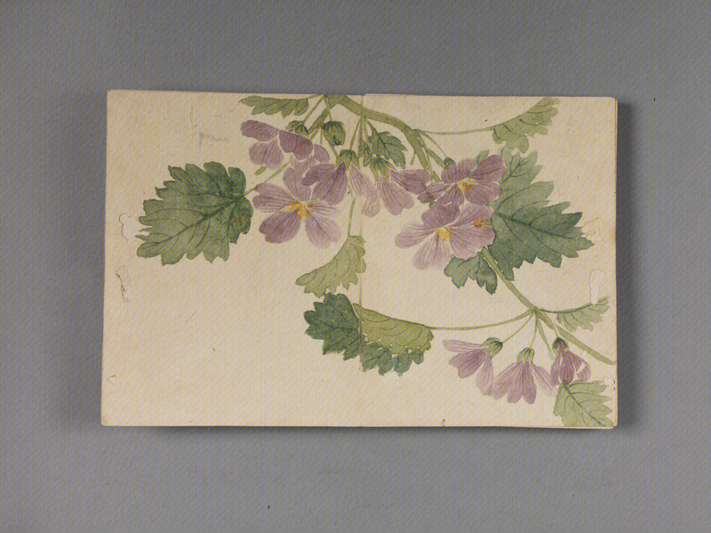 Dong Gao flower album, The Palace Museum