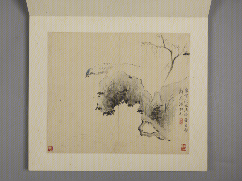 Flowers-and-birds painting album, The Palace Museum