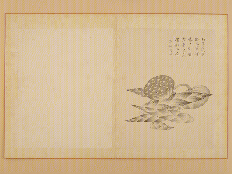 Jiang Shulin Jiang Tingxi flower album, The Palace Museum