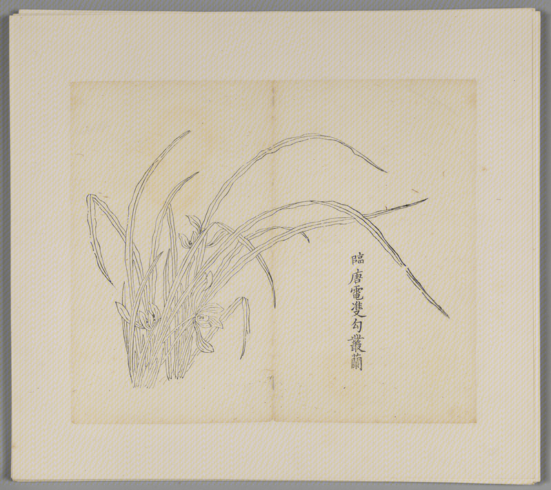 Ink album, The Palace Museum