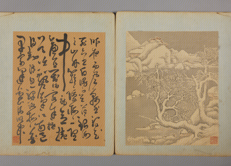 Jiang Shoucheng's Landscape and Flower Album, The Palace Museum