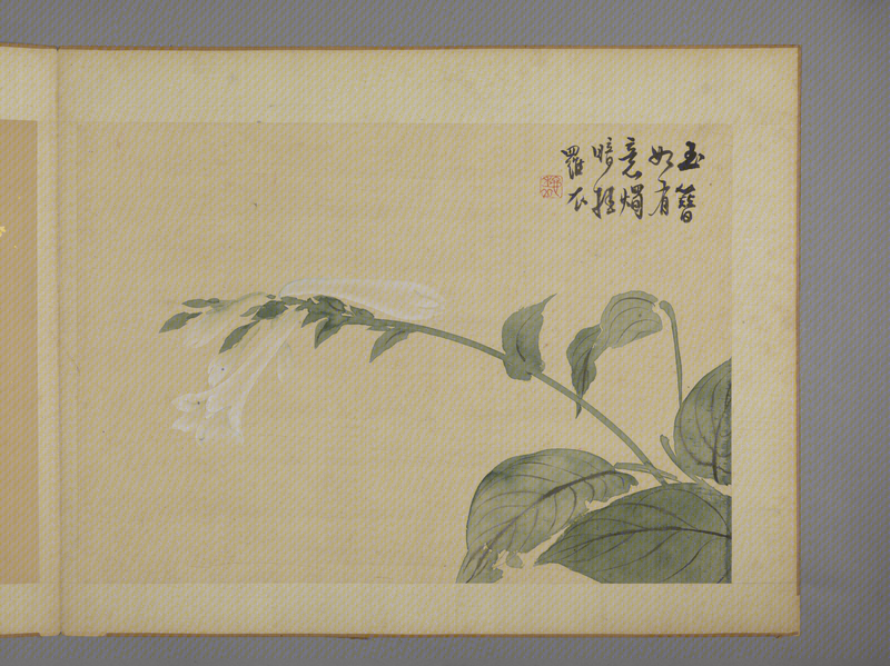 Huayan flower album, The Palace Museum