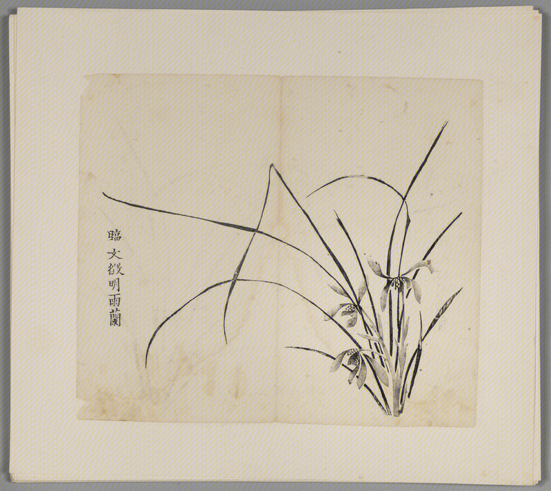Woodblock watermark Hu Ricong et al. Shizhuzhai genealogy album, The Palace Museum