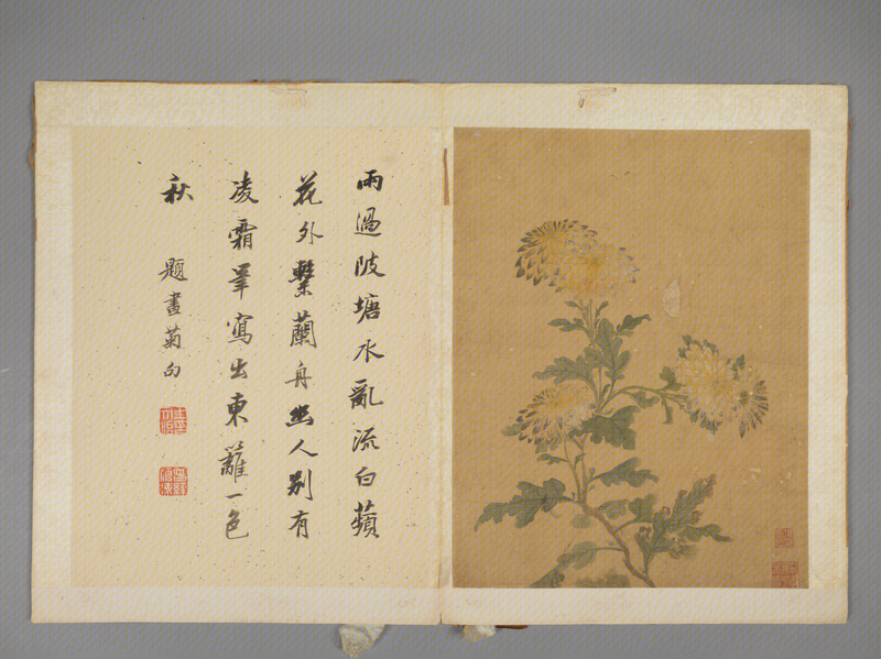 Xiang Shengmo Flower Album, The Palace Museum