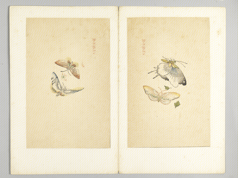 Ink album, The Palace Museum