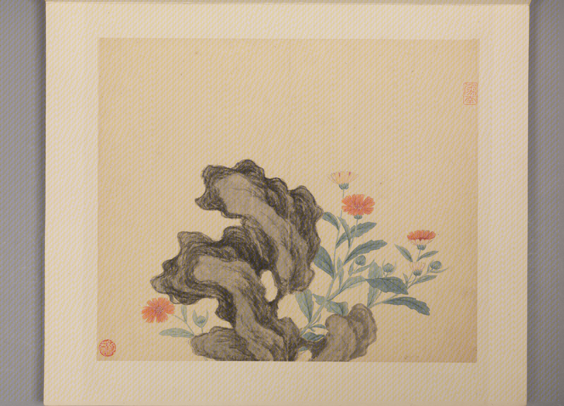 Flowers-and-birds painting album, The Palace Museum