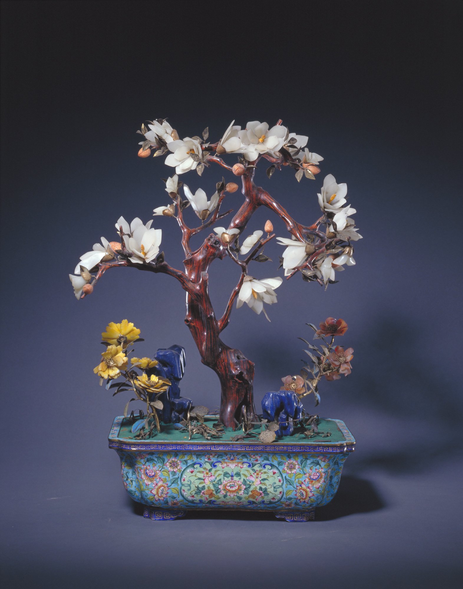 Painted enamel rectangular pot magnolia bonsai, The Palace Museum