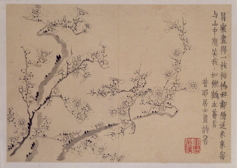 Jinnong Plum Blossom Album, The Palace Museum