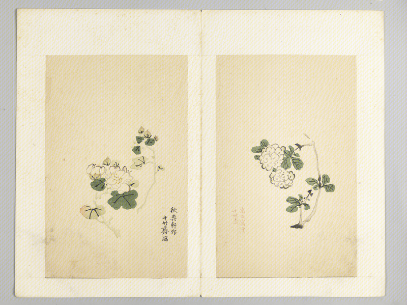 Ink album, The Palace Museum