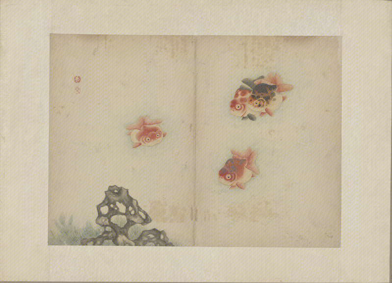 Li Wen Fish and Butterfly Picture Album, The Palace Museum