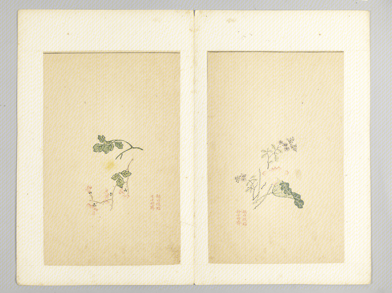 Woodblock watermark Shizhuzhai five-color paper music album, The Palace Museum