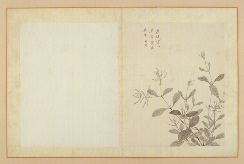 Ink album, The Palace Museum