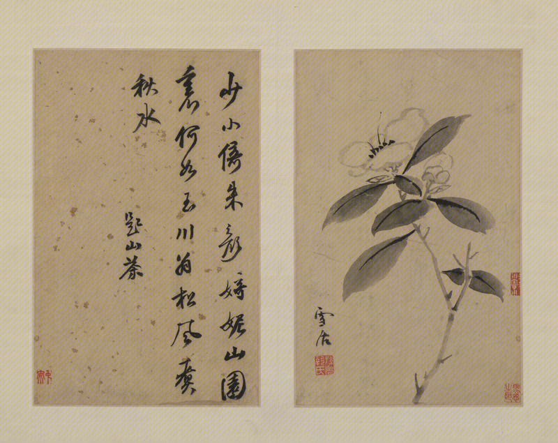 Sun Kehong flower album, The Palace Museum