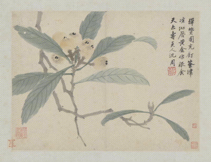Ink album, The Palace Museum