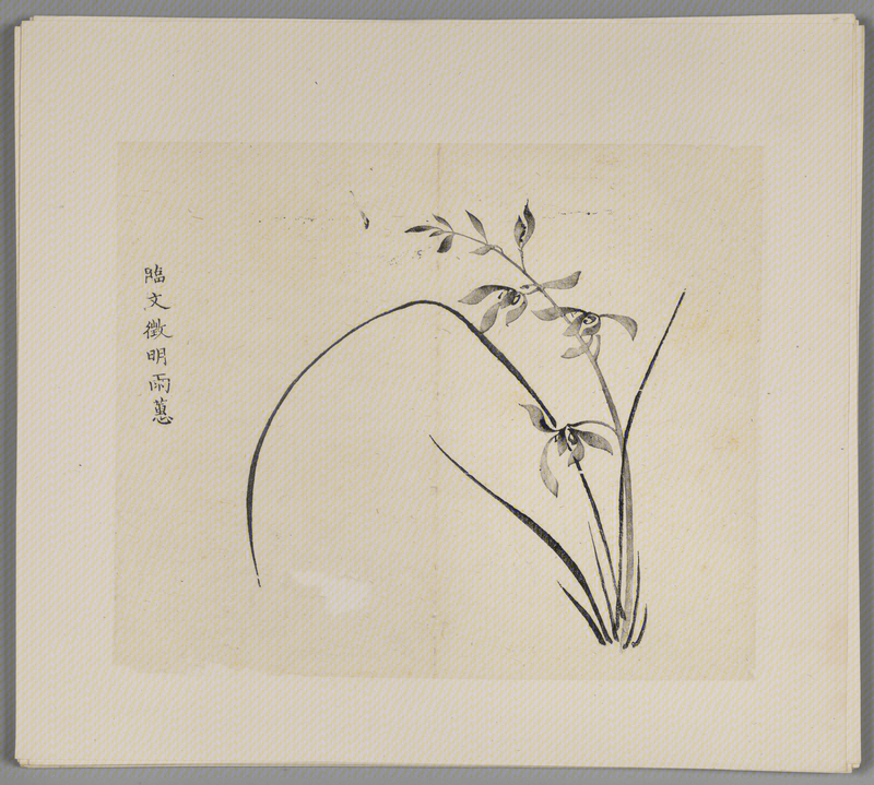 Ink album, The Palace Museum