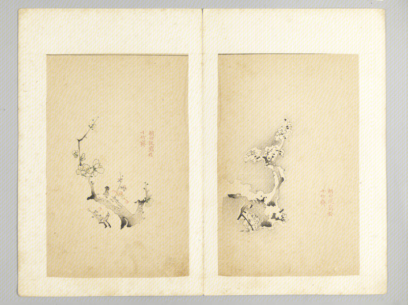Ink album, The Palace Museum