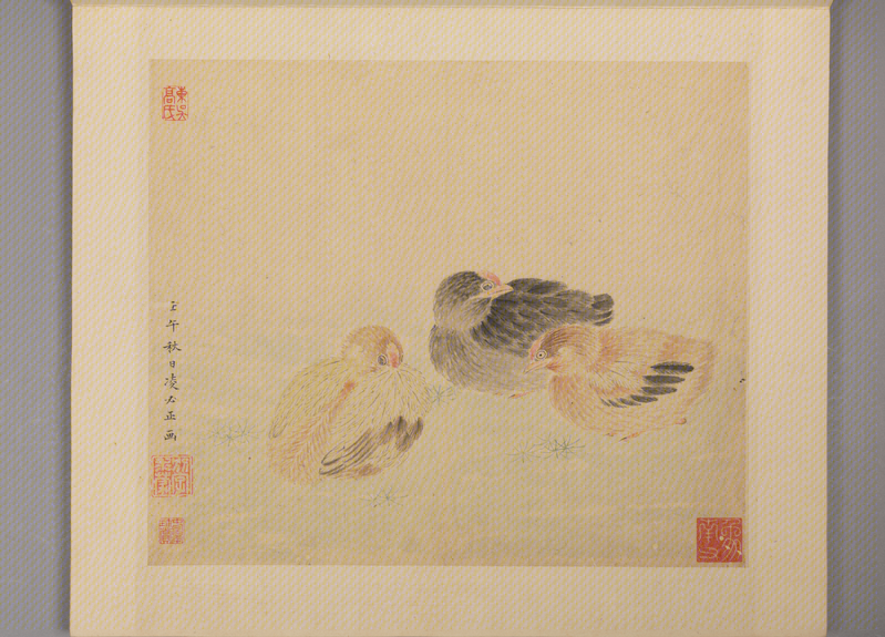 Flowers-and-birds painting album, The Palace Museum