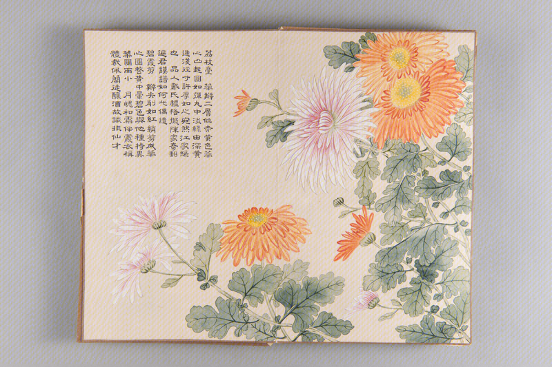 Honghao chamomile album, The Palace Museum