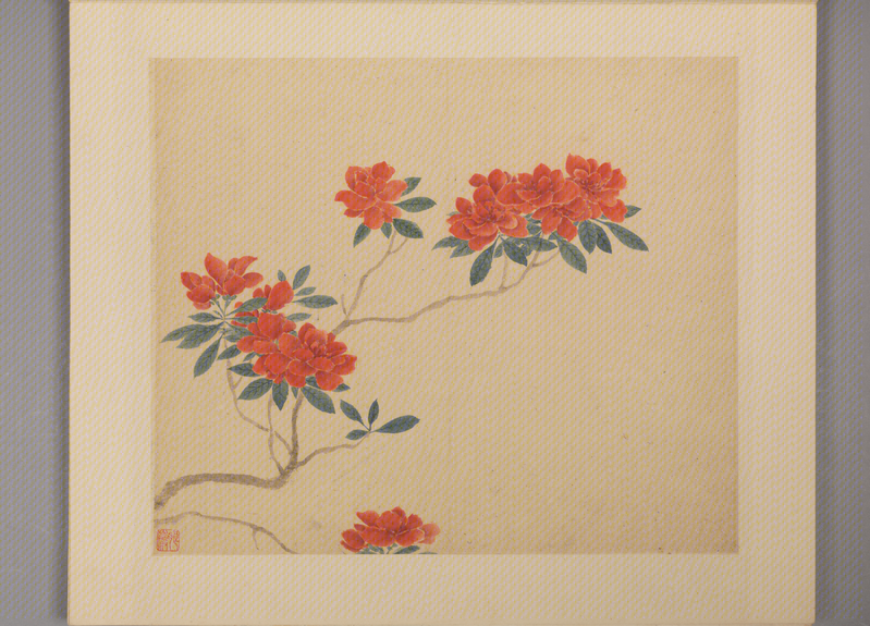 Ling Bizheng's Book of Flowers and Birds, The Palace Museum