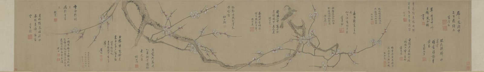 Chen Jiru's Plum Blossom and Two Birds Picture Scroll, The Palace Museum