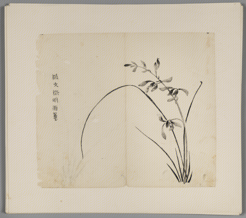 Ink album, The Palace Museum