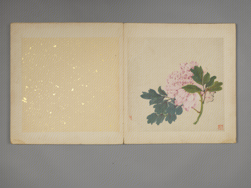 Wang Yun's flower and fruit album, The Palace Museum