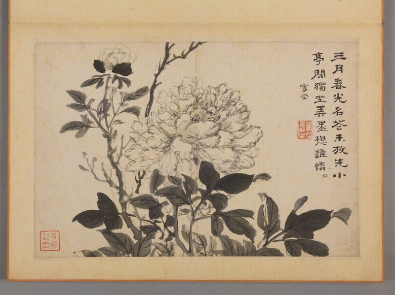 Cai Jia flower album, The Palace Museum