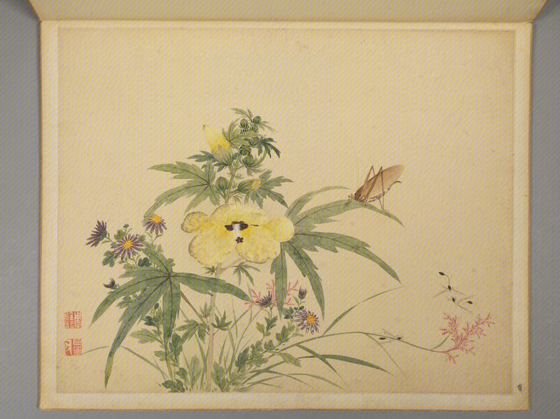 Flowers-and-birds painting album, The Palace Museum