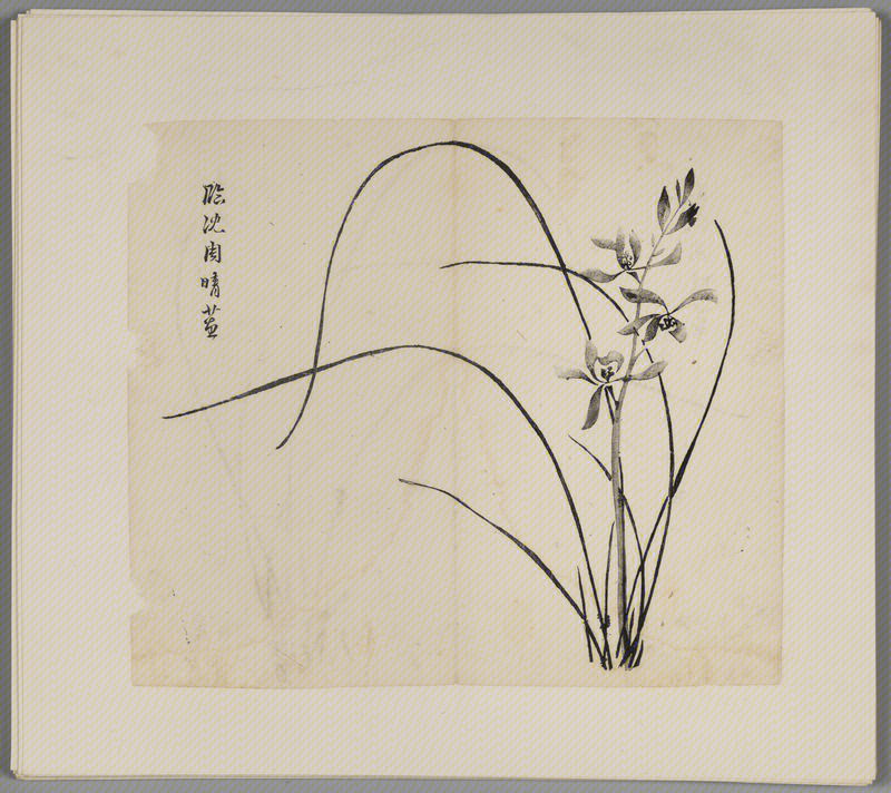 Woodblock watermark Hu Ricong et al. Shizhuzhai genealogy album, The Palace Museum