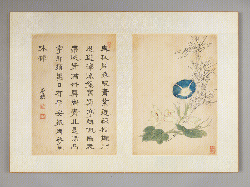 Qiu Jing's Book of Flowers and Birds, The Palace Museum