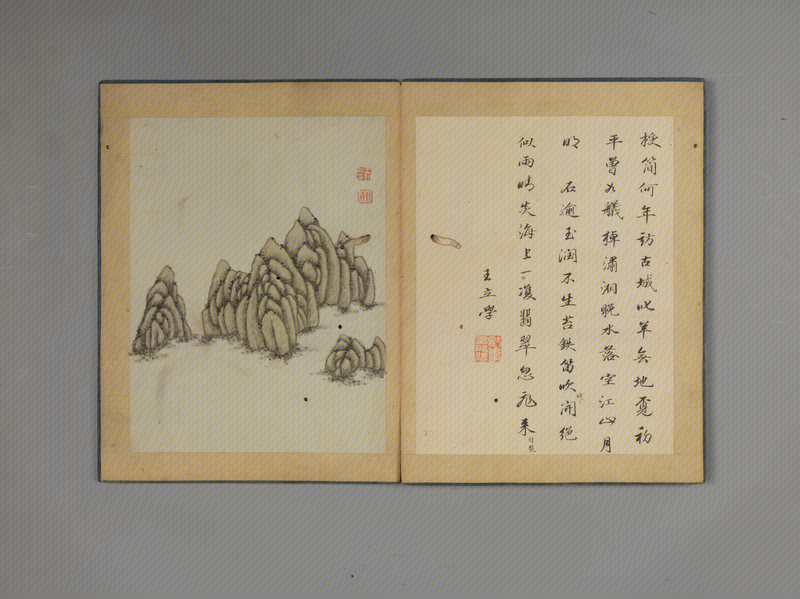 Wang Han's Collection of Landscapes, Flowers and Stones, The Palace Museum