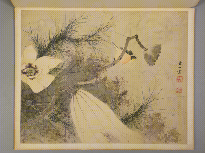 Flowers-and-birds painting album, The Palace Museum
