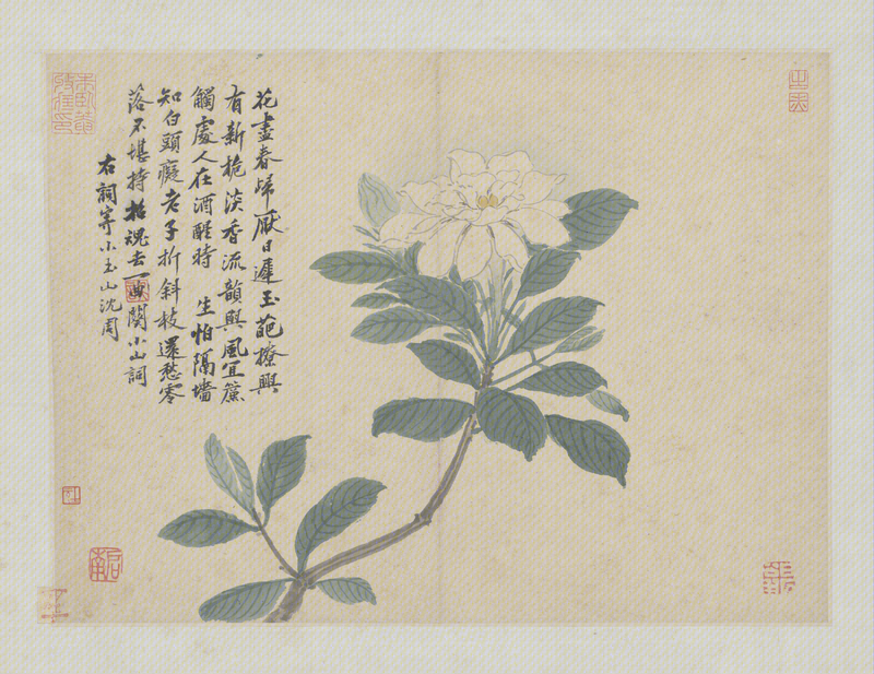 Shen Zhou's Travel Picture Album, The Palace Museum