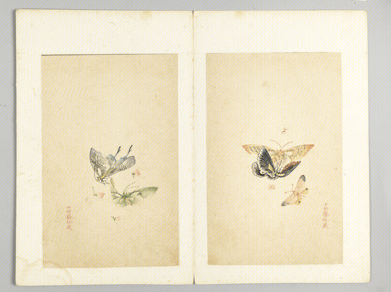 Ink album, The Palace Museum
