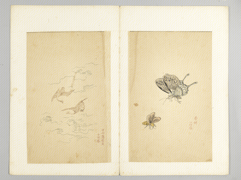 Ink album, The Palace Museum