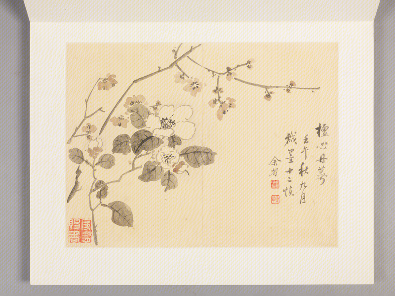 Yu Province Flower Album, The Palace Museum