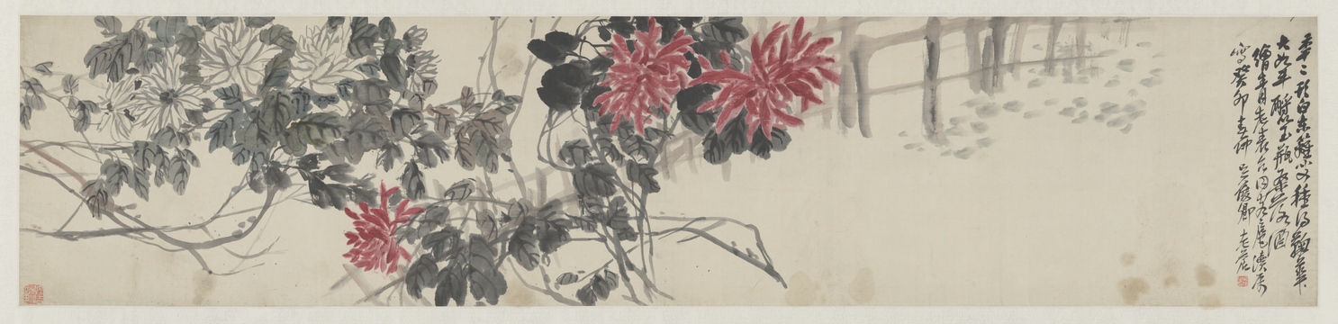 Wu Junqing chrysanthemum picture scroll, The Palace Museum