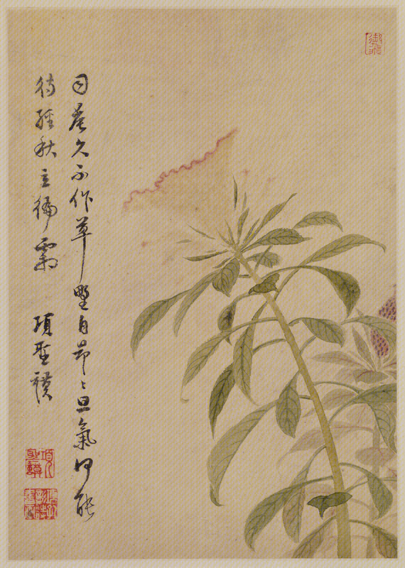 Xiang Shengmo's Landscape and Flower Album, The Palace Museum