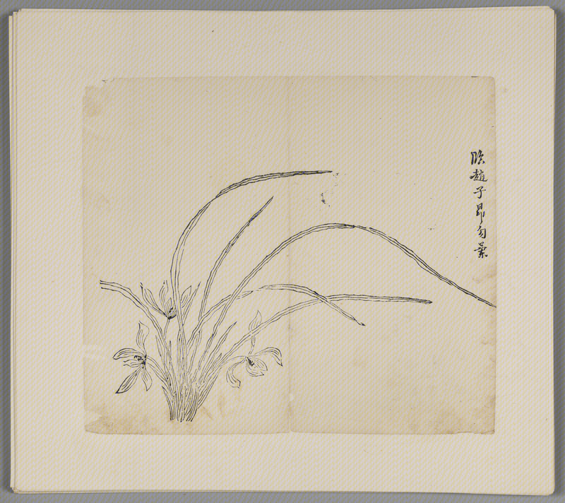 Ink album, The Palace Museum