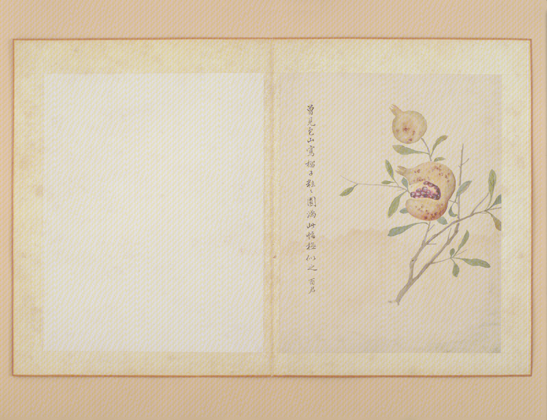 Jiang Shulin Jiang Tingxi flower album, The Palace Museum