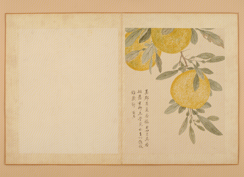 Ink album, The Palace Museum