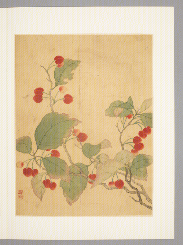 Zhang Wei flower album, The Palace Museum