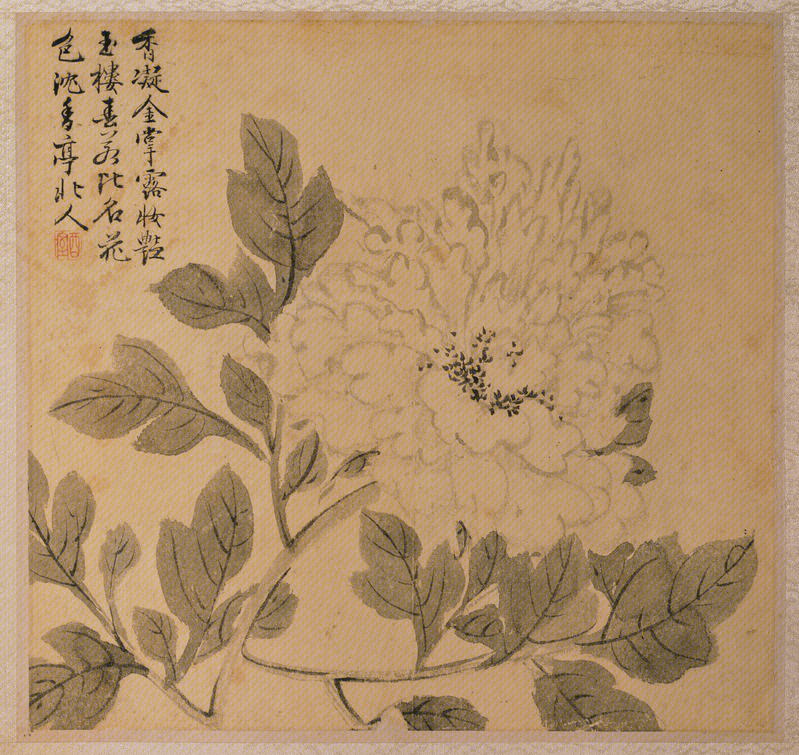 Wang Guxiang flower album, The Palace Museum
