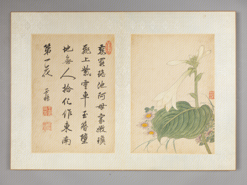 Qiu Jing's Book of Flowers and Birds, The Palace Museum