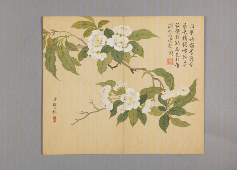 Zou Yigui's Album of Flowers, Birds, Grass and Insects, The Palace Museum