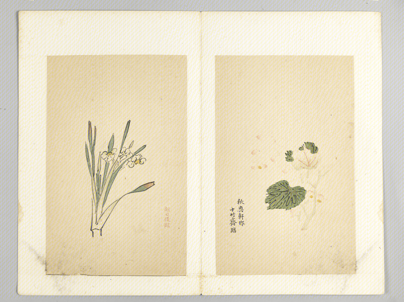 Ink album, The Palace Museum