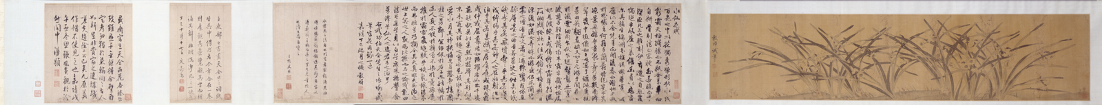 Wang Guxiang's Narcissus Picture Scroll, The Palace Museum