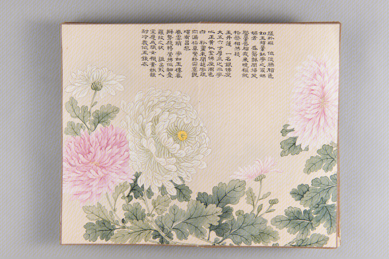 Honghao chamomile album, The Palace Museum