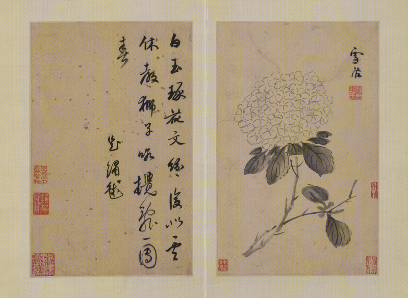 Sun Kehong flower album, The Palace Museum